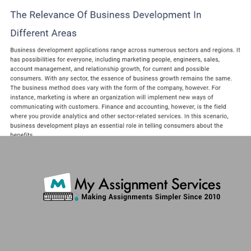 Business Development Assignment Sample