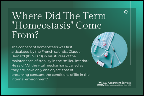 term of Homeostasis