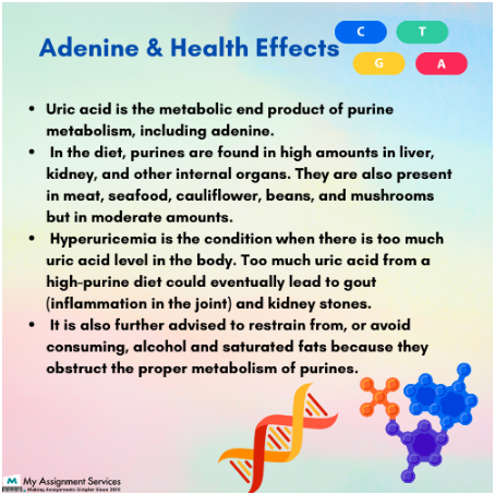 Adenine and Health Effects