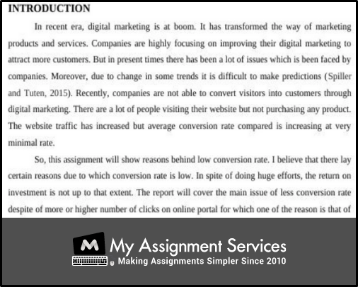 digital marketing assignment Introduction