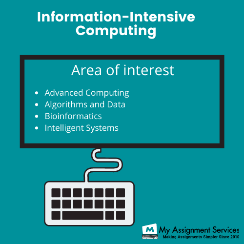 Information Intensive computing assignment help online
