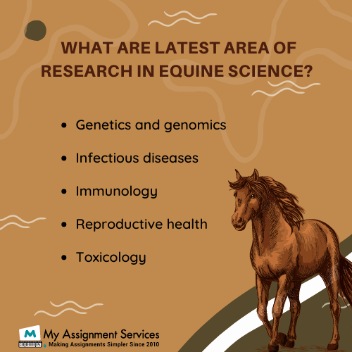 Research in Equine Science