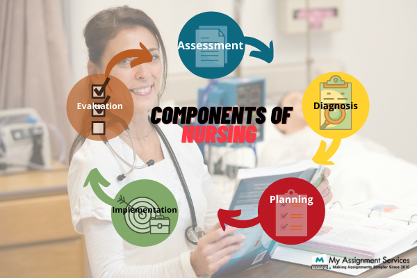 components of nursing
