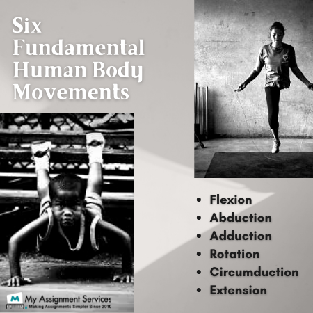 six fundamental human body movements