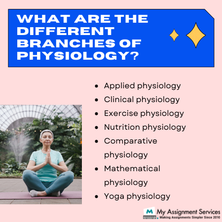 what are the different branches of physiology