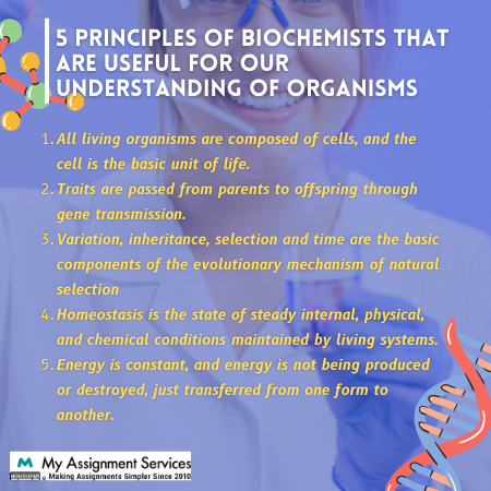 BFD105-Biological Foundations Assessment