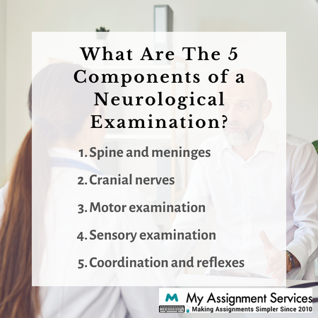 Components of Neurological Examination