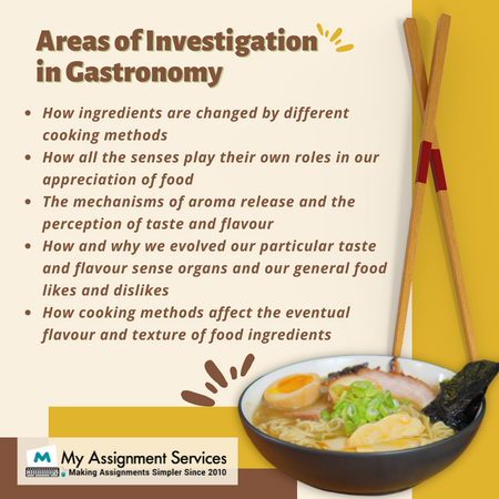 areas of investigation in gastronomy