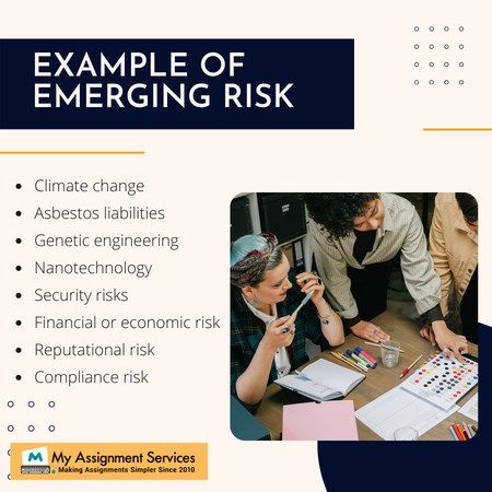 Emerging Risk