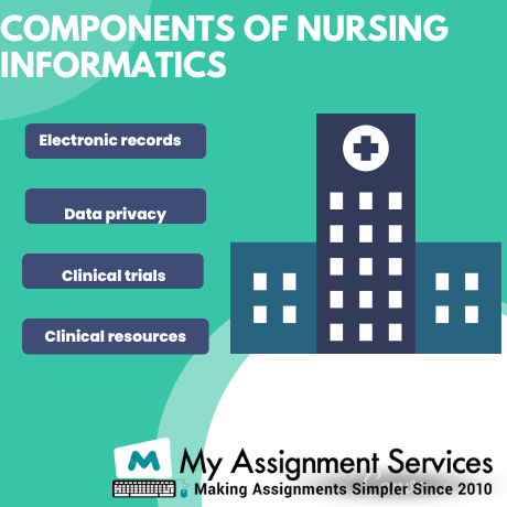 components of nursing informatics