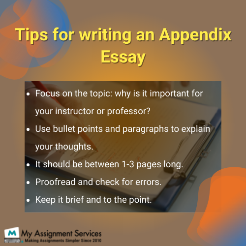 tips for writing an appendix essay