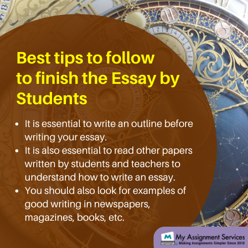 essay help for students