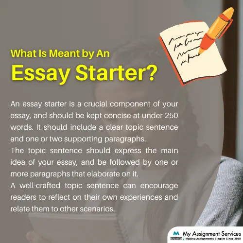 What is An Essay Starter