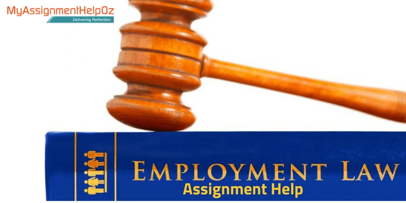 employment law assignment help