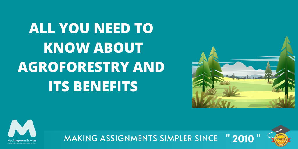 Agroforestry and Its Benefits