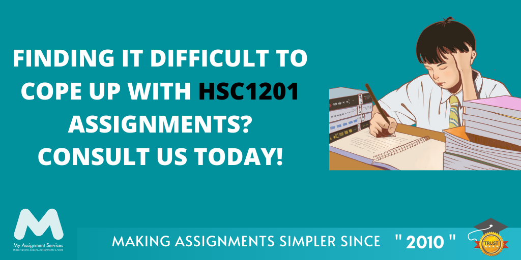 HSC1201 Application Of Maths And Statistics For Health & Sport Assessment Answer