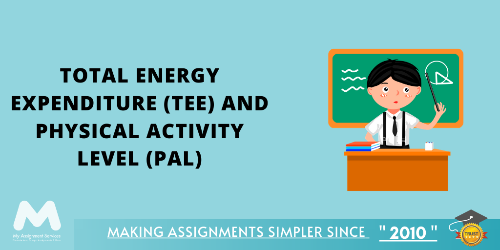 Total Energy Expenditure and Physical Activity Level