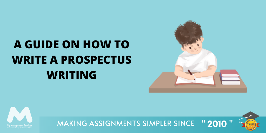 A Guide on How to Write a Prospectus Writing