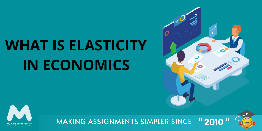 Elasticity in Economics
