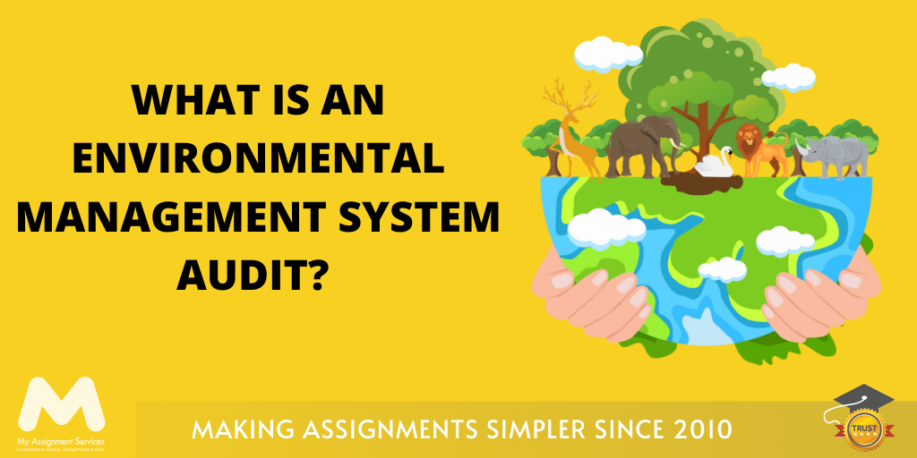 What is an Environmental Management System Audit?
