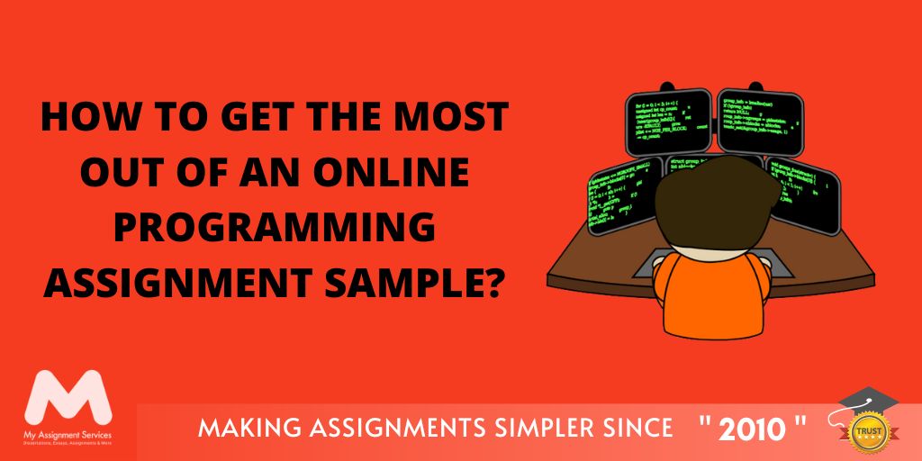 How to Get the Most Out of an Online Programming Assignment Sample